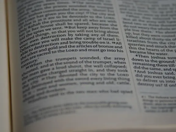 Hejgo Casino Support